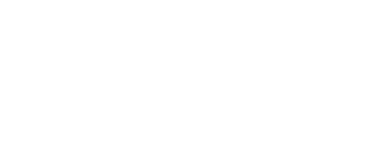 VICTOR-800